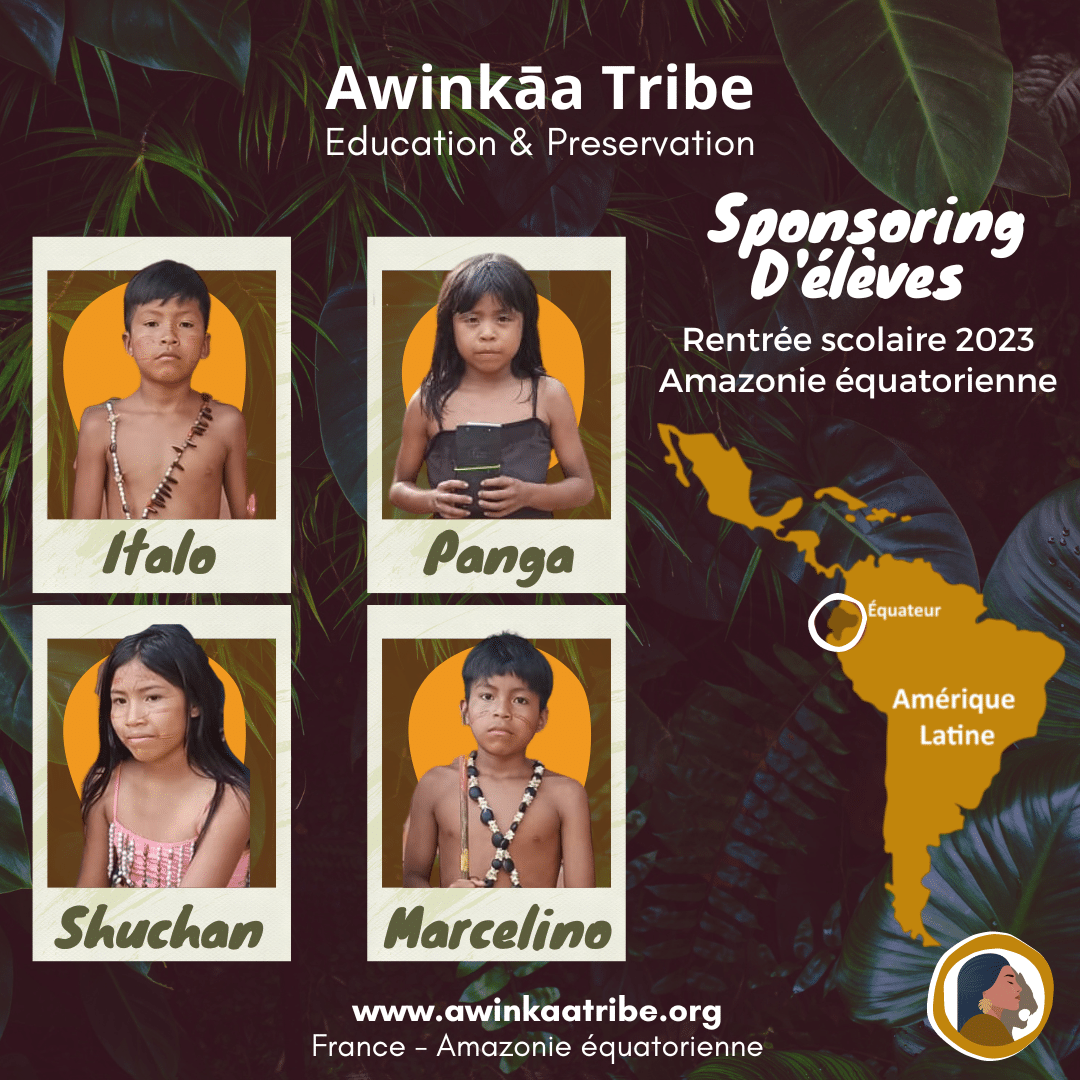 Awinkaa Tribe